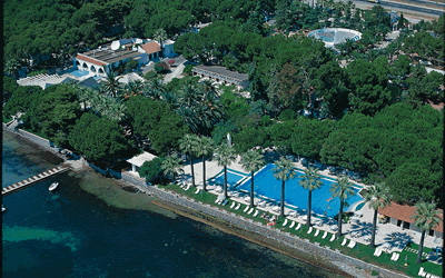 Ömer Holiday Resort'un palmiyeli bahçesi ve havuzu, havadan