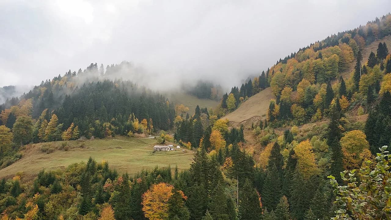 Hamsiköy (Maçka: Sütlaç Köyü)