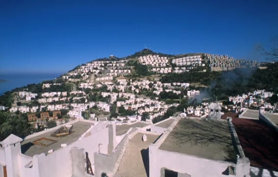 Bodrum fotoğrafı 16