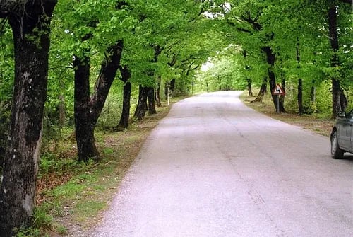 Ağva – fotoğrafı 21