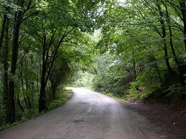 Ağva – fotoğrafı 5