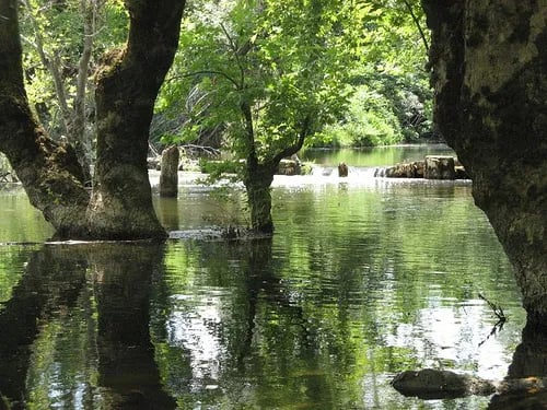 Ağva – fotoğrafı 9