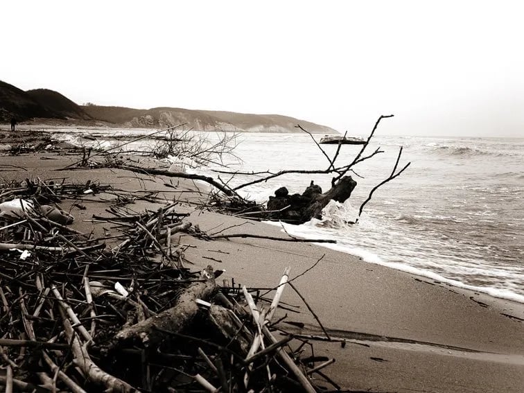 Ağva – fotoğrafı 17