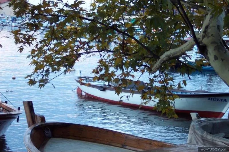 Ereğli – fotoğrafı 15