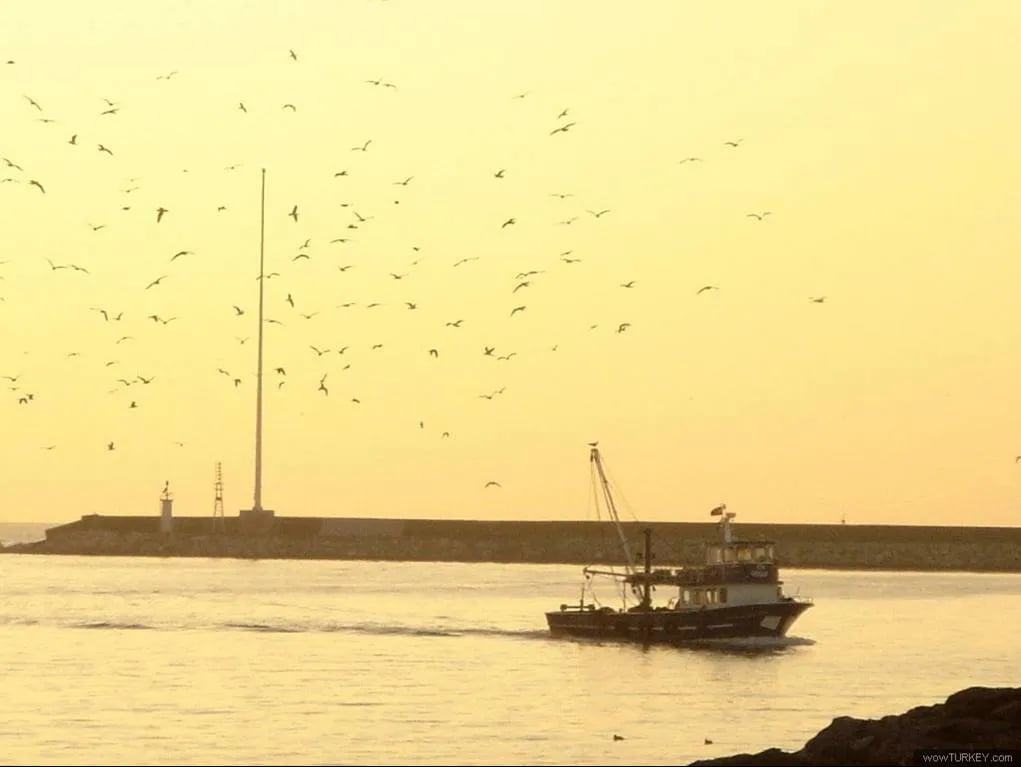 Ereğli – fotoğrafı 9