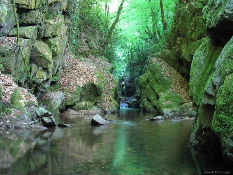 Ereğli – fotoğrafı 12