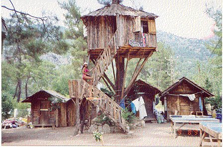 Olimpos – Antalya fotoğrafı 10