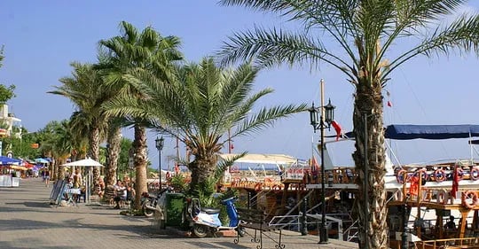 Side fotoğrafı 18