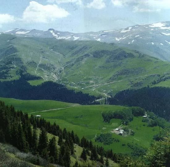 Giresun fotoğrafı 8