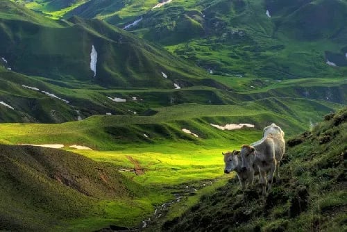Palandöken fotoğrafı 15