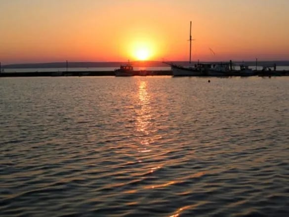 Didim fotoğrafı 4