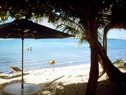 Didim fotoğrafı 20