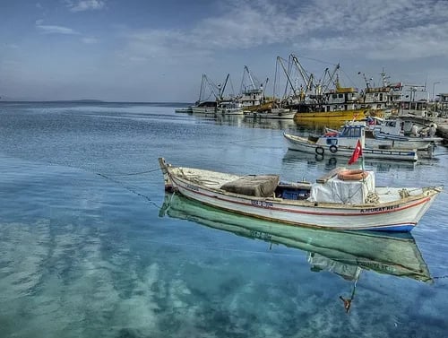 Didim fotoğrafı 23