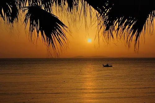 Didim fotoğrafı 24