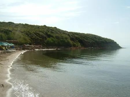 Didim fotoğrafı 26
