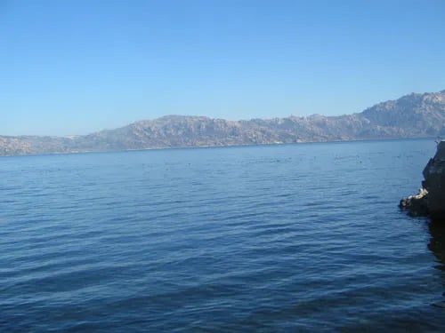 Didim fotoğrafı 1