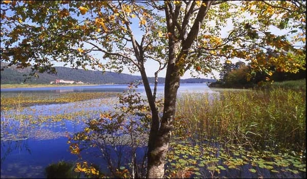 Sinop fotoğrafı 5