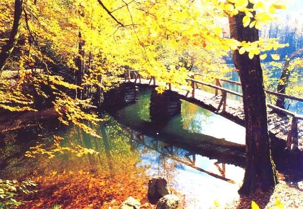 Sinop fotoğrafı 7