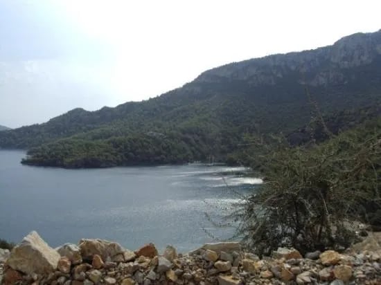 Dalaman fotoğrafı 16