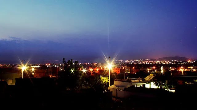 Davutlar fotoğrafı 20