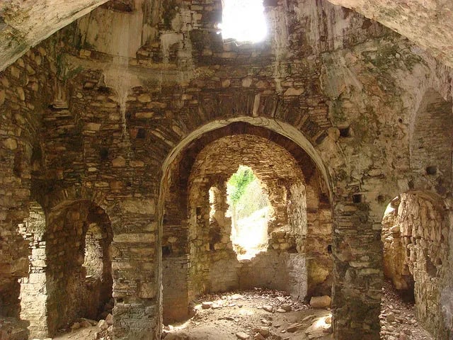 Davutlar fotoğrafı 25