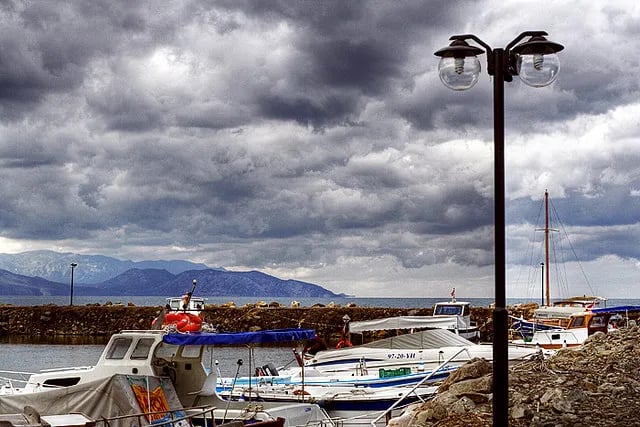 Davutlar fotoğrafı 26