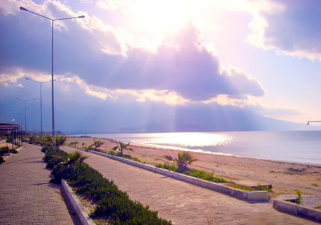 Davutlar fotoğrafı 28