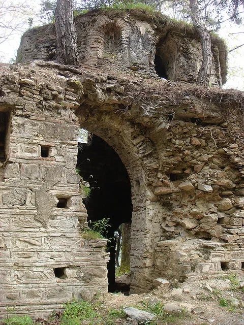 Davutlar fotoğrafı 6