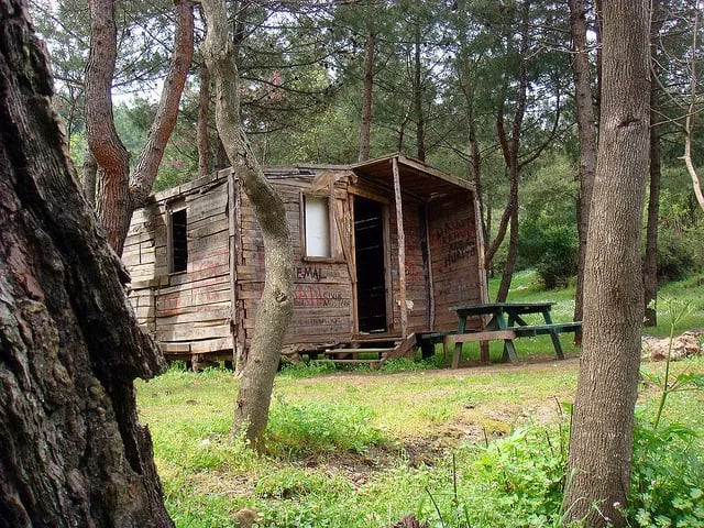 Davutlar fotoğrafı 9