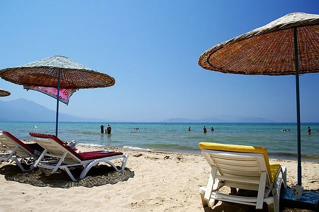 Davutlar fotoğrafı 11