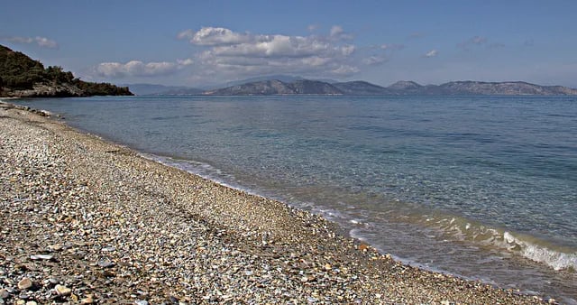 Davutlar fotoğrafı 15