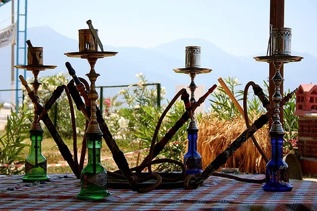 Davutlar fotoğrafı 18