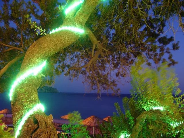 Datça fotoğrafı 4
