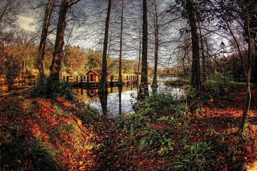 Atatürk Arboretumu