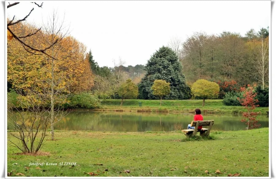 Atatürk Arboretumu’nda sonbahar