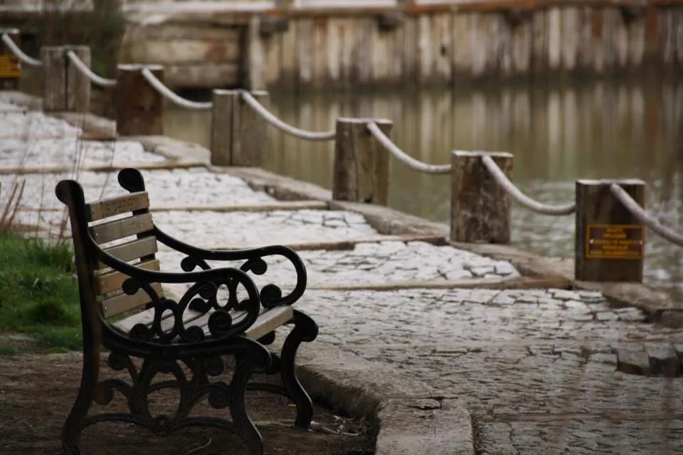 Atatürk Arboretumu fotoğrafı 3