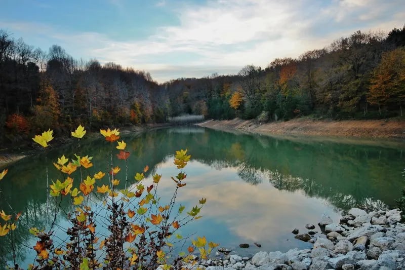 Atatürk Arboretumu fotoğrafı 4