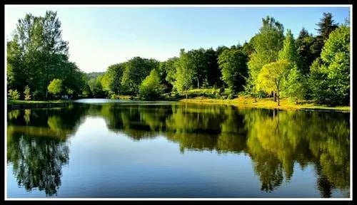 Atatürk Arboretumu fotoğrafı 9