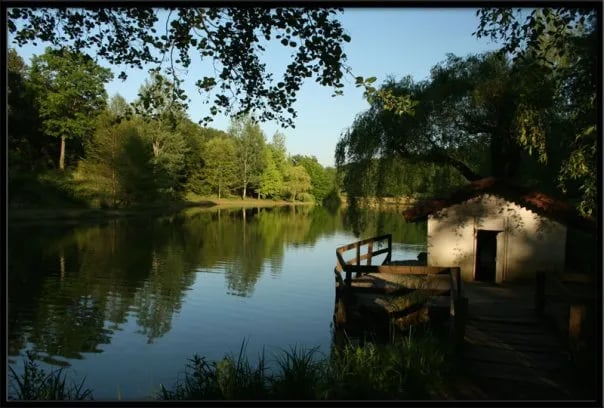 Atatürk Arboretumu fotoğrafı 10