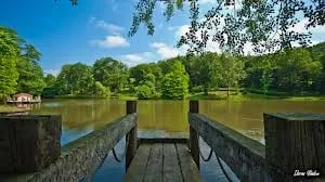 Atatürk Arboretumu fotoğrafı 1