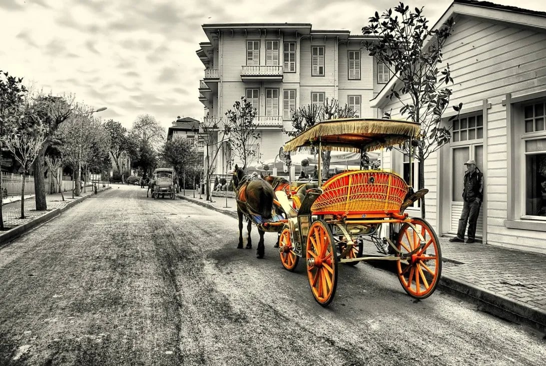 Büyükada fotoğrafı 8
