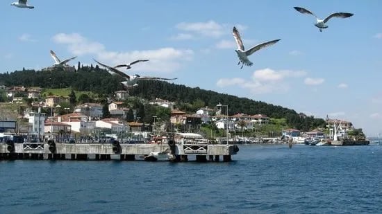 Büyükada fotoğrafı 17
