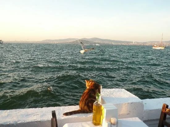 Büyükada fotoğrafı 20