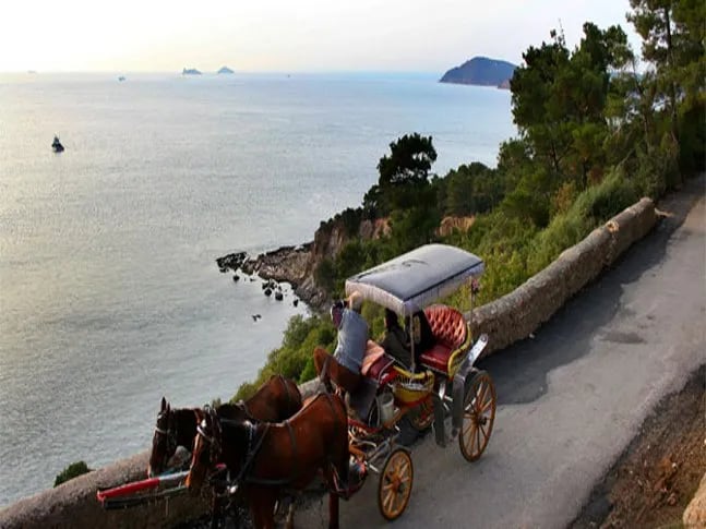Büyükada fotoğrafı 1