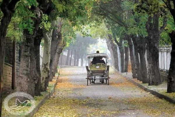 Büyükada fotoğrafı 2