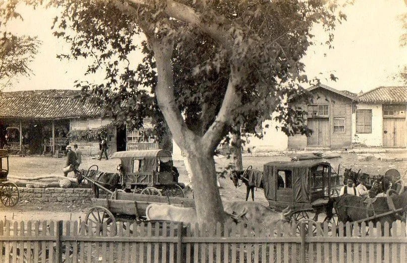 Büyükada fotoğrafı 3