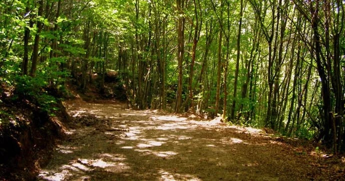 Saklı Göl fotoğrafı 14