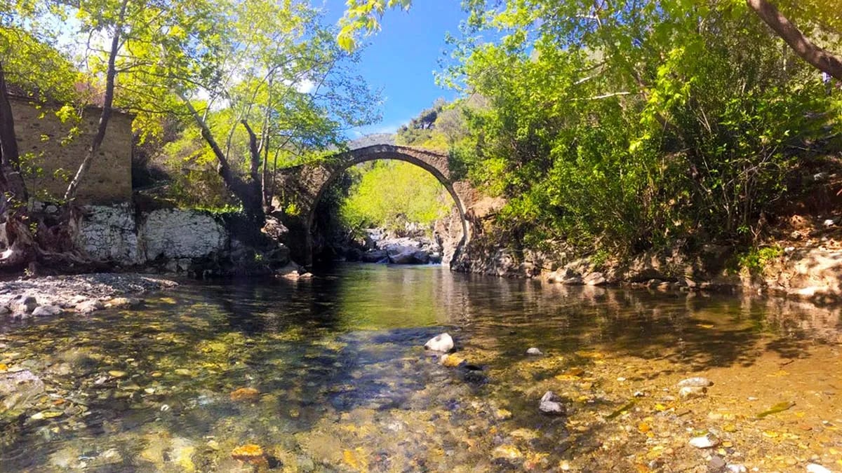 Kaz Dağları fotoğrafı 18