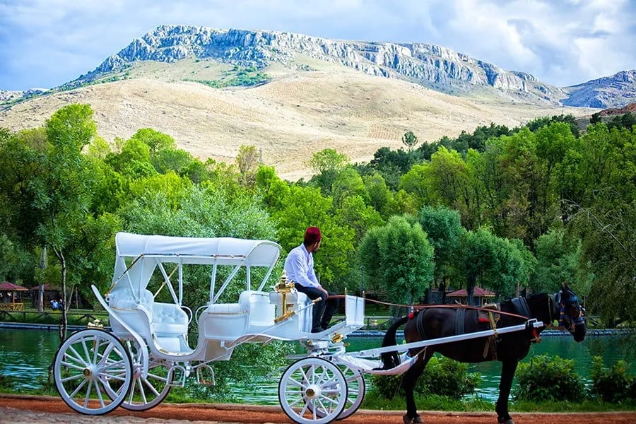 Malatya fotoğrafı 9