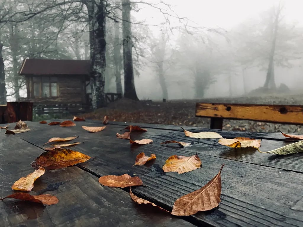 Kartepe fotoğrafı 1